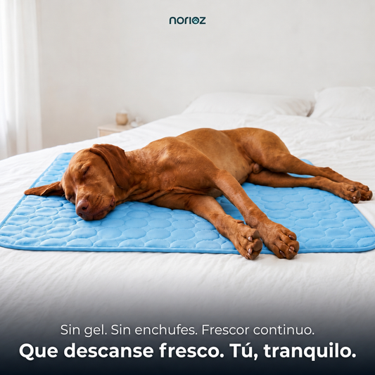 Manta CoolRest™  Frescor Sin Gel