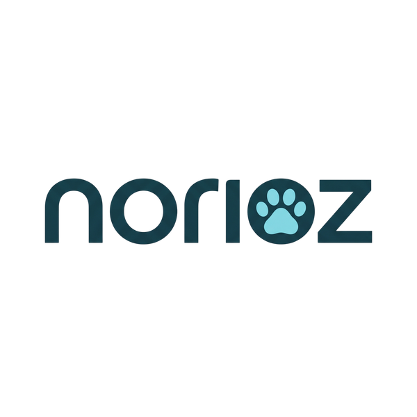Norioz